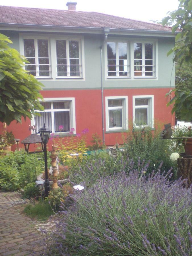 Ferienwohnung Naturnah Drezno Zewnętrze zdjęcie